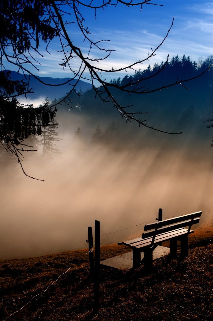 fog, blue, break, morning mood, nature